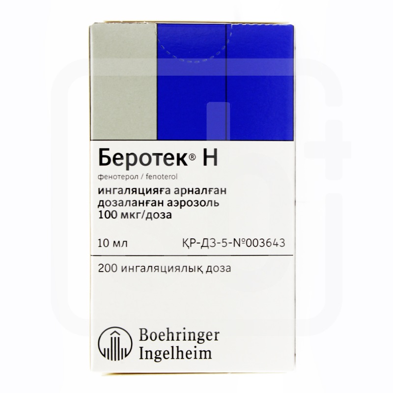 Беротек Н 100 мкг 200 доз 10 мл