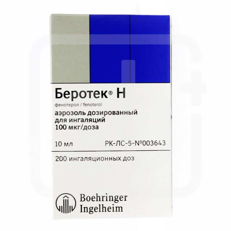 Беротек Н 100 мкг 200 доз 10 мл
